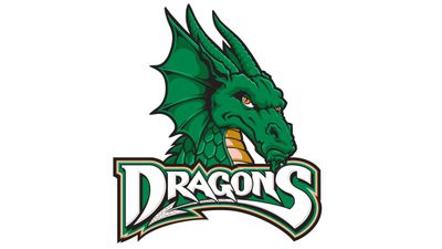 Dayton Dragons vs. Fort Wayne Tincaps